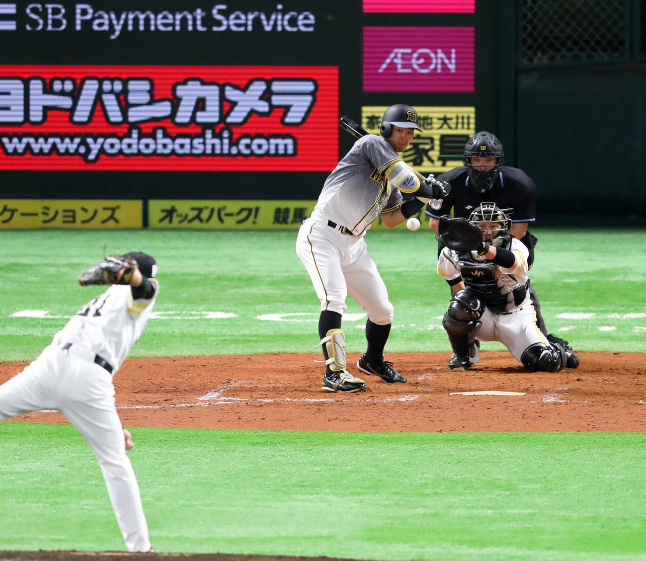 3回表阪神2死、佐藤輝明は11球目のインハイへの直球を見送る（撮影・梅根麻紀）