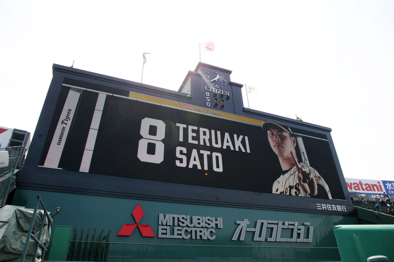 阪神対広島　甲子園球場のビジョンで流れる佐藤輝の選手紹介映像（撮影・加藤哉）