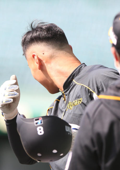 阪神佐藤輝明６番左翼で甲子園デビュー スタメン プロ野球写真ニュース 日刊スポーツ