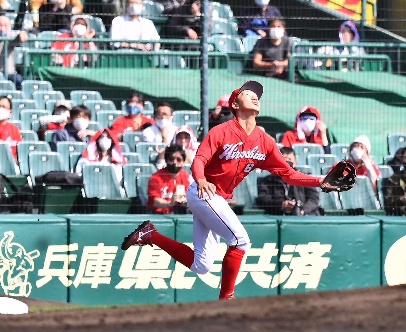 阪神対広島オープン戦　2回裏阪神2死、矢野は高々とあがった佐藤輝の打球を追うも追いつけず安打を許す（撮影・上田博志）
