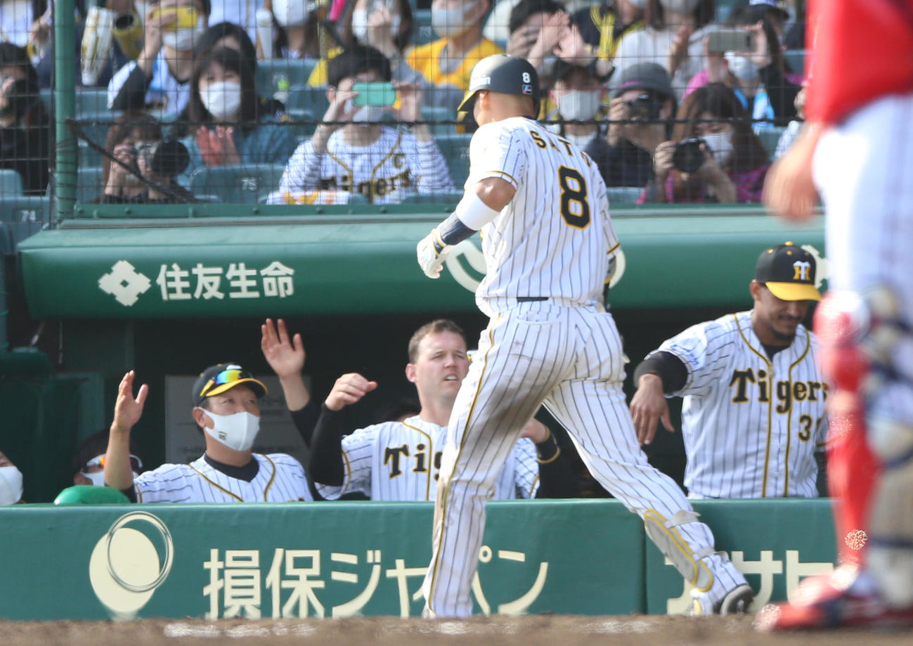 阪神対広島　5回裏阪神2死二塁、2点本塁打を放った佐藤輝（手前）を出迎えるサンズ（左から2人目）（撮影・上山淳一）