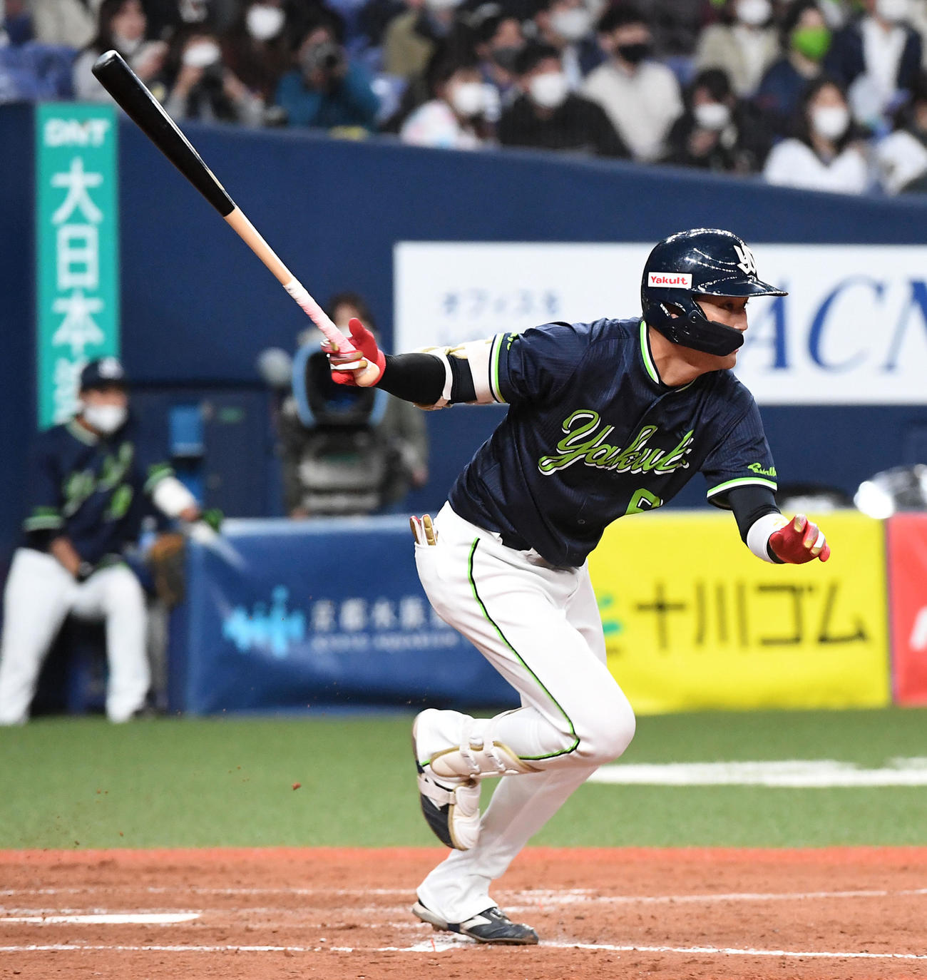 5回表1死一、二塁、ヤクルト元山は右前適時打を放つ（撮影・前岡正明）
