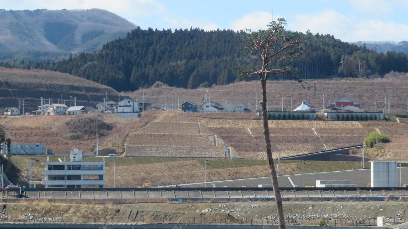 奇跡の一本松の南側には高台に住宅地ができた（撮影・金子真仁）