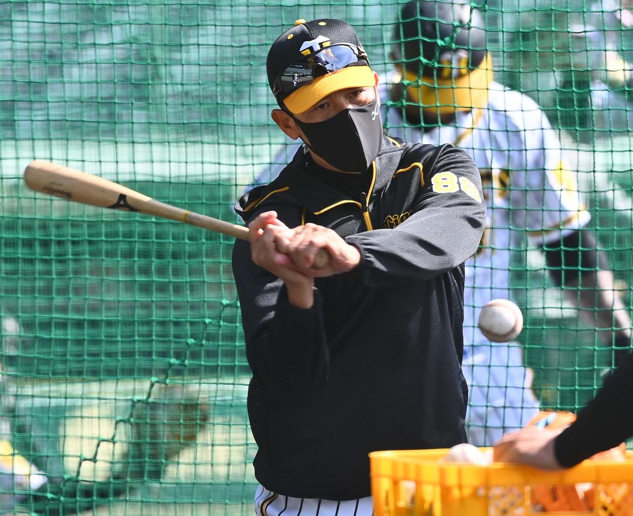 ノックを打つ矢野燿大監督（撮影・上田博志）