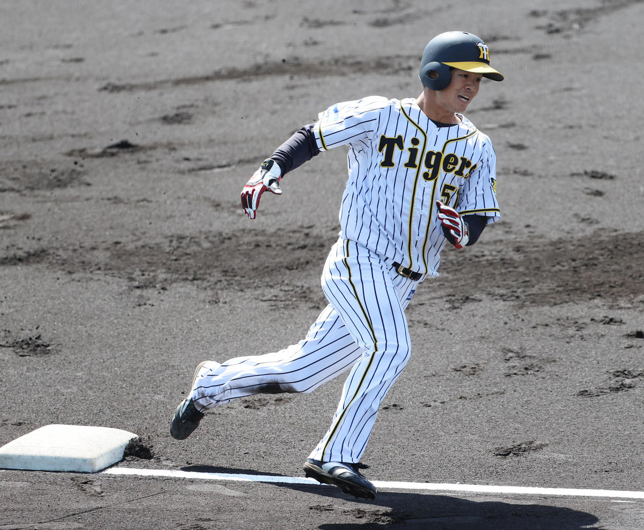 教育リーグ阪神対オリックス　1回裏阪神1死二塁、木浪の右前適時打で生還する中野（代表撮影）