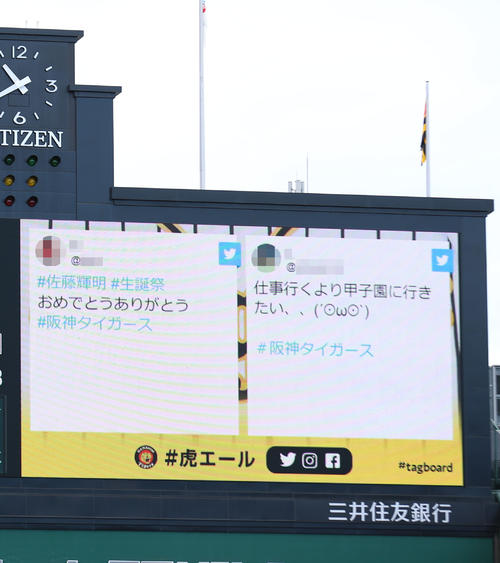 阪神対西武　試合前の練習中、佐藤輝の誕生日を祝うコメントがスコアボードに映し出される（撮影・上山淳一）