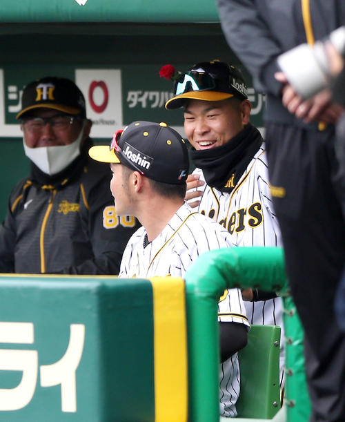 阪神対西武　佐藤輝（右）は帽子に一輪の花をつけベンチで笑顔を見せる（撮影・上山淳一）