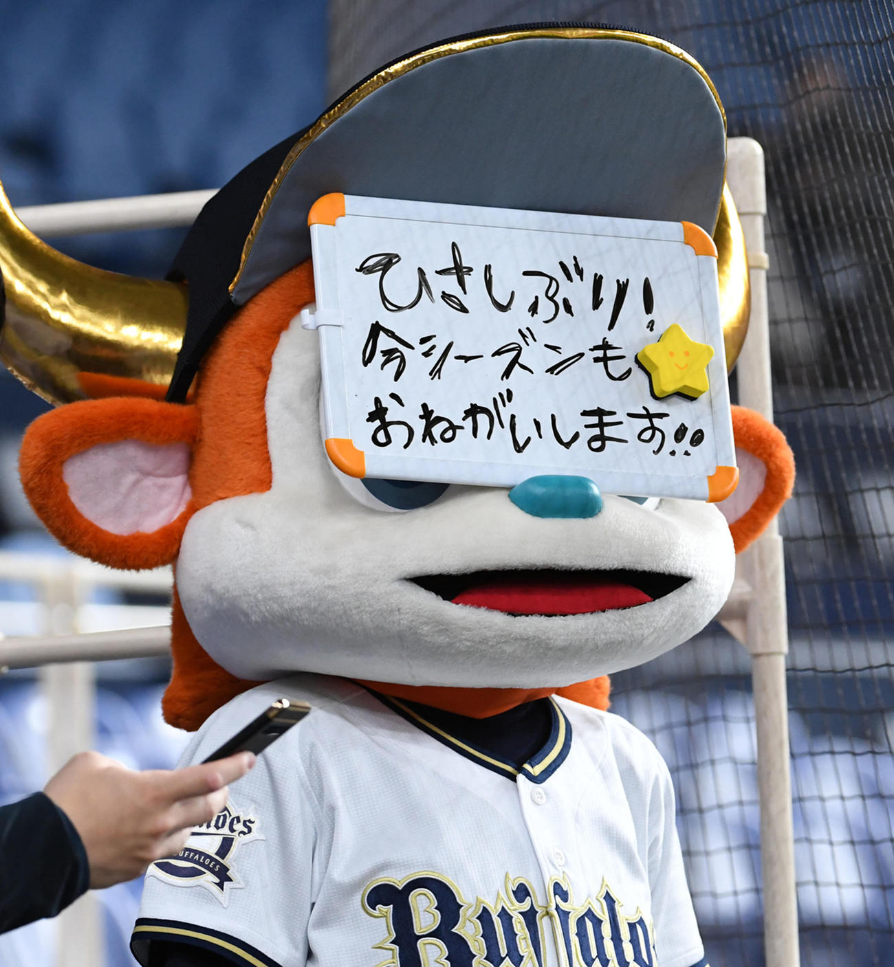 オリックス対巨人　京セラドーム大阪初見参のバファローブル（撮影・前岡正明）