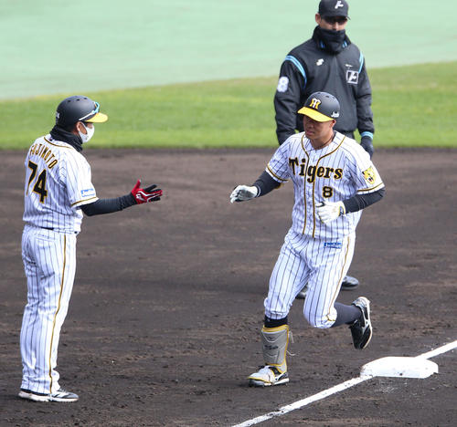 阪神対巨人　4回裏阪神2死、佐藤輝（右）は左越え本塁打を放ちベースランする（撮影・上山淳一）