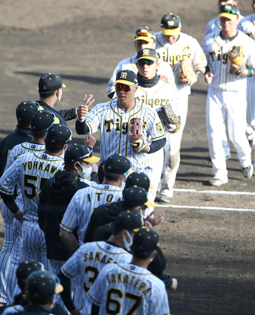 阪神対巨人　巨人に勝利しエアタッチして喜ぶ佐藤輝（中央）ら阪神ナイン（撮影・上山淳一）