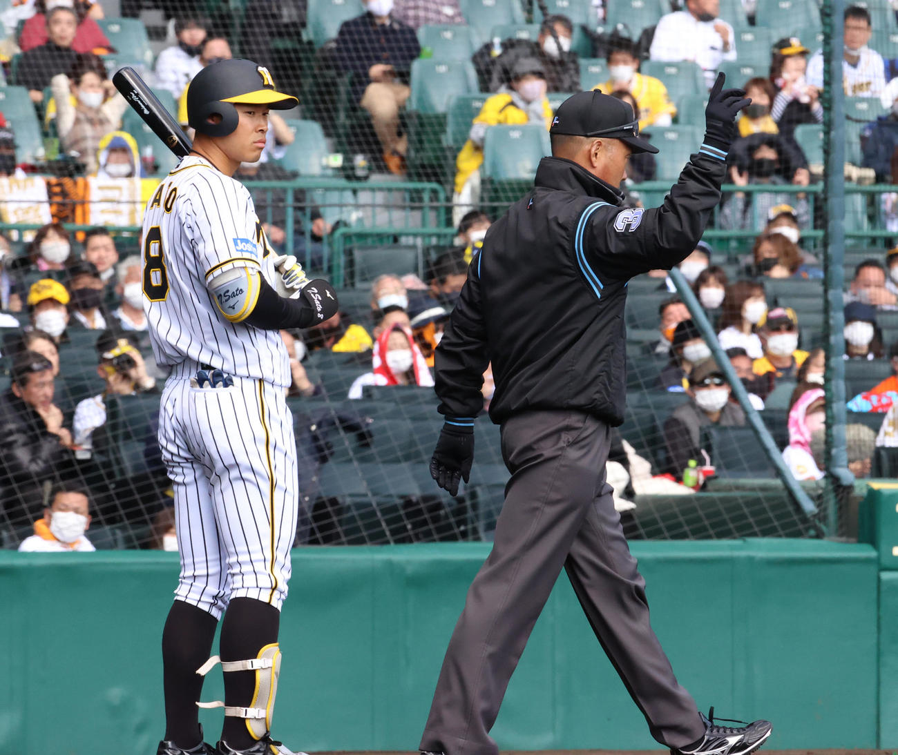 阪神対巨人　4回裏阪神2死、佐藤輝明の左翼ポール際への打球はファウル判定もリプレー検証の結果、本塁打となる（撮影・清水貴仁）