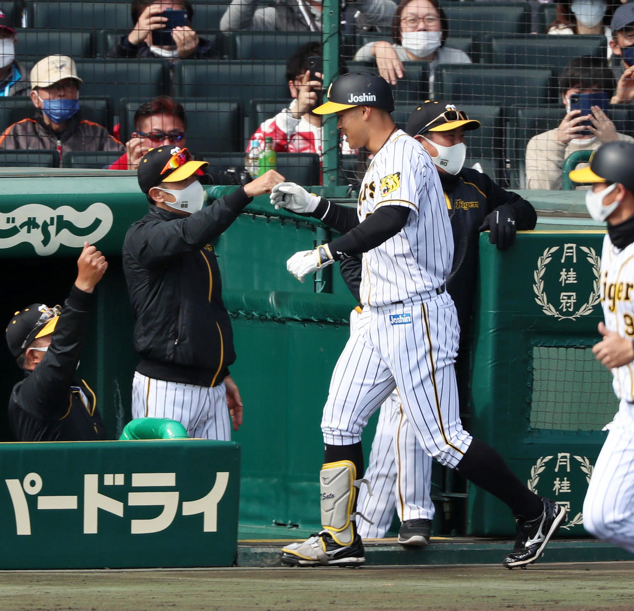 阪神対巨人　4回裏阪神2死、佐藤輝は左越え本塁打を放ちベンチの矢野監督（左）とエアタッチする（撮影・加藤哉）