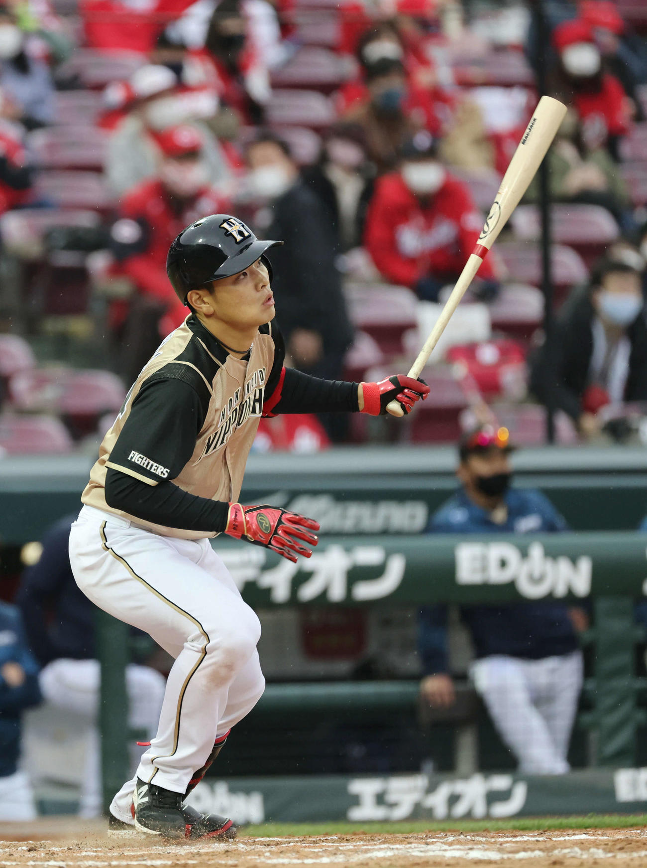 野村は中前適時打を放つ（撮影・加藤孝規）