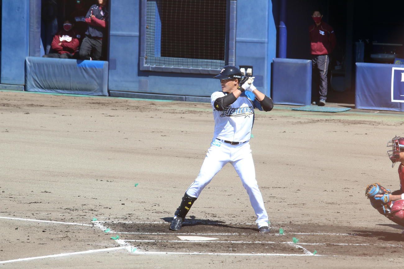 打席に立つ日本ハム王柏融（撮影・田中彩友美）