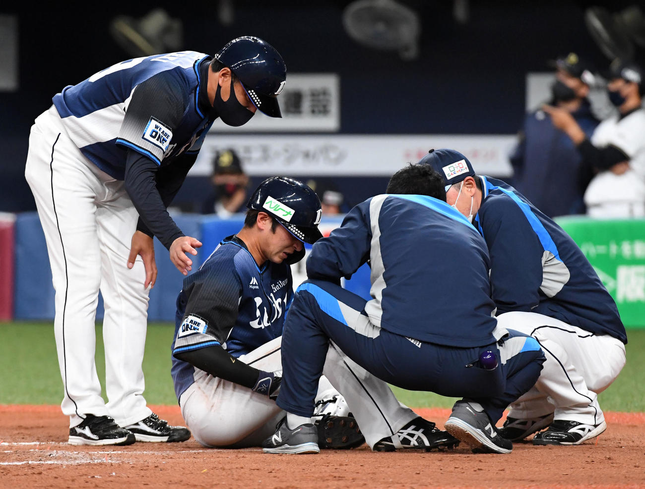 オリックス対西武　7回表西武無死、死球を受ける金子（撮影・前岡正明）