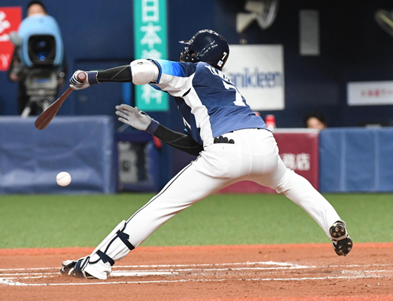 オリックス対西武　7回表西武無死、死球を受ける金子（撮影・前岡正明）