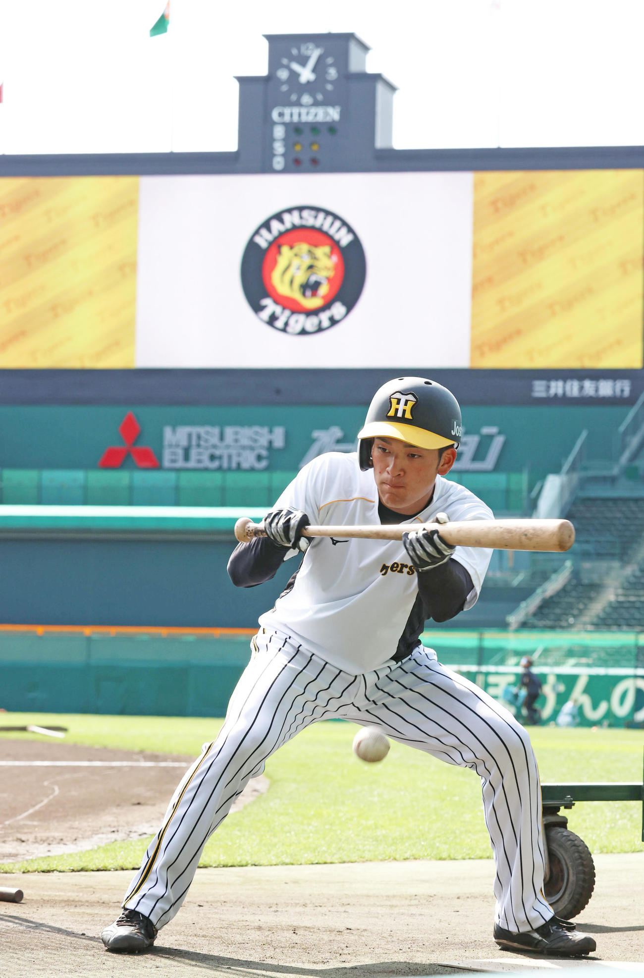 阪神対巨人　1軍で練習を行う高寺望夢（撮影・清水貴仁）