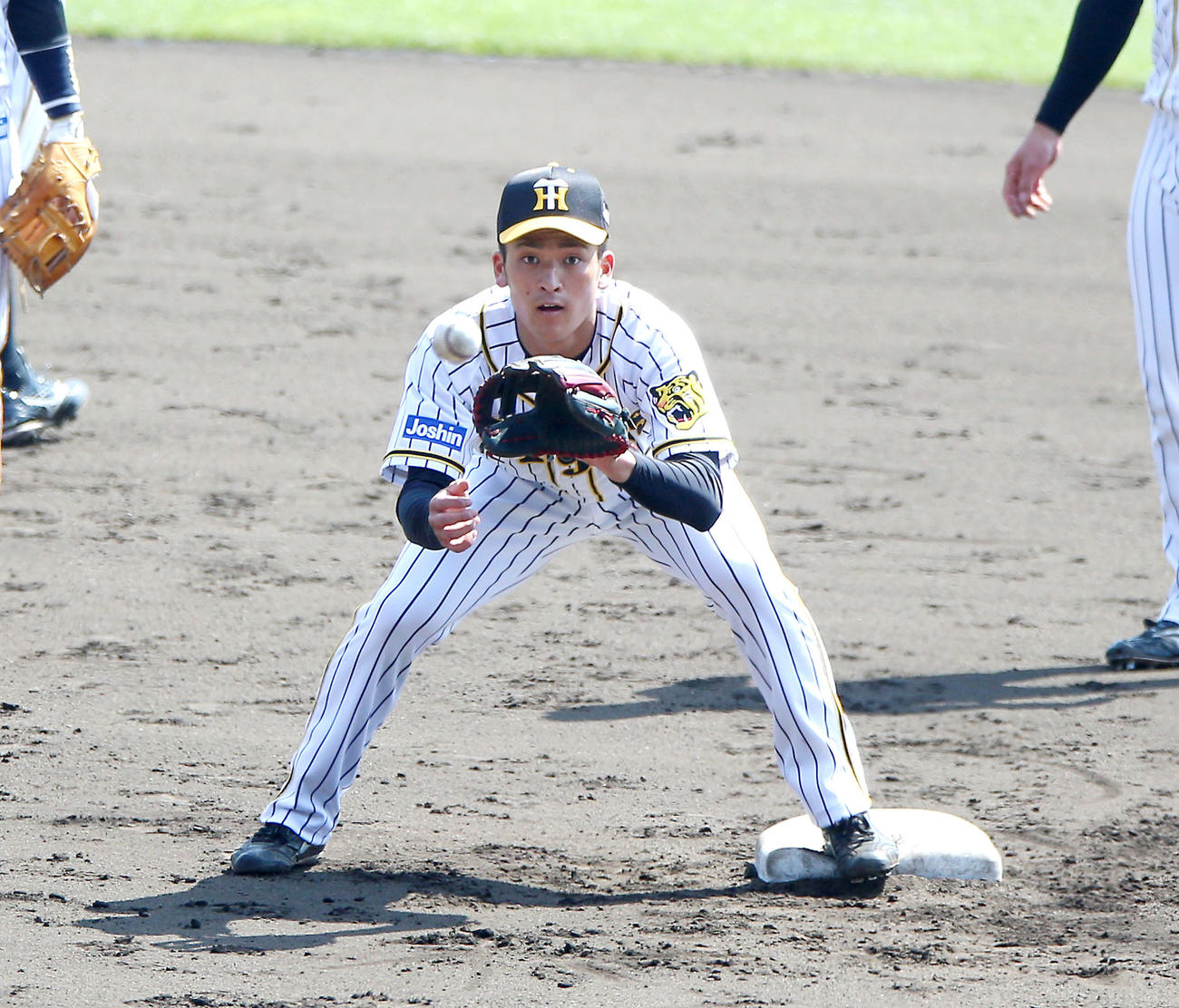 阪神対巨人　試合前、シートノックを受ける高寺（撮影・上山淳一）