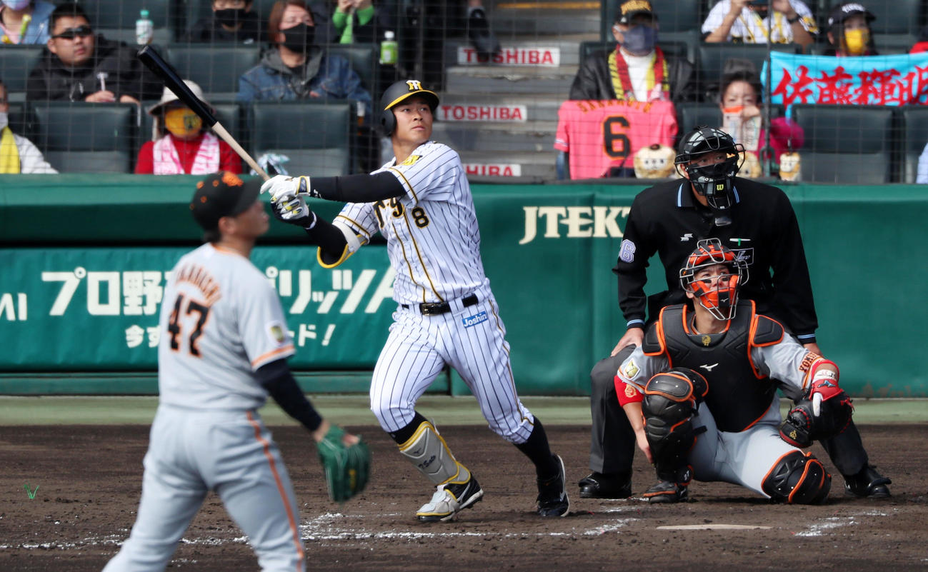 阪神対巨人　4回裏阪神2死、佐藤輝明は左越え本塁打を放つ。投手は巨人高橋（撮影・加藤哉）
