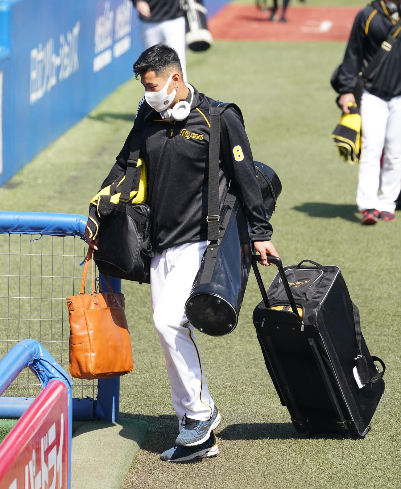 神宮球場に到着し、クラブハウスに向かう阪神佐藤輝（撮影・菅敏）