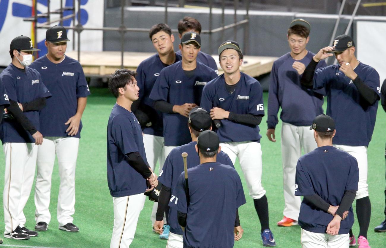 日本ハム対ロッテ　支配下入りし、チームメートの前であいさつをする日本ハム長谷川（左から3人目）（撮影・佐藤翔太）