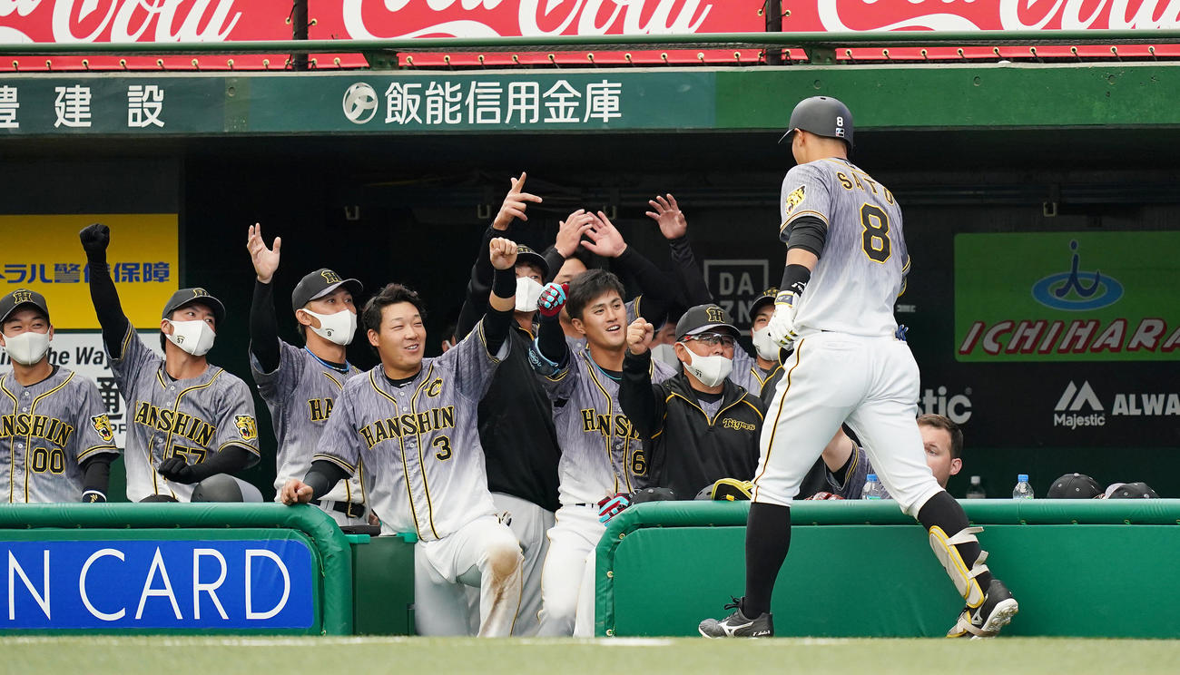 阪神対西武　2回表阪神無死、右越えに6号本塁打を放ち、ナインに迎えられる佐藤輝（右端）（撮影・菅敏）