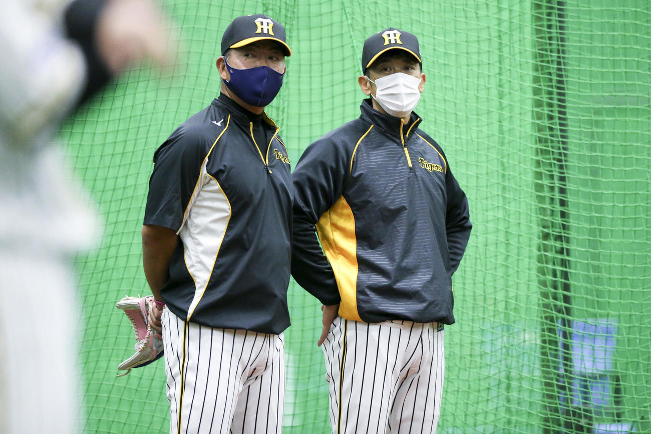 練習を見守る矢野監督（右）と井上ヘッドコーチ（撮影・上山淳一）