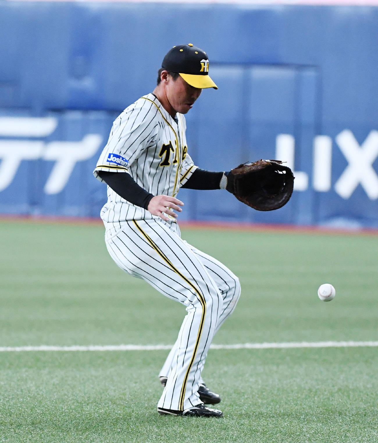 阪神対オリックス　8回表オリックス1死、T－岡田の一塁強襲内野安打を処理する陽川（撮影・前岡正明）