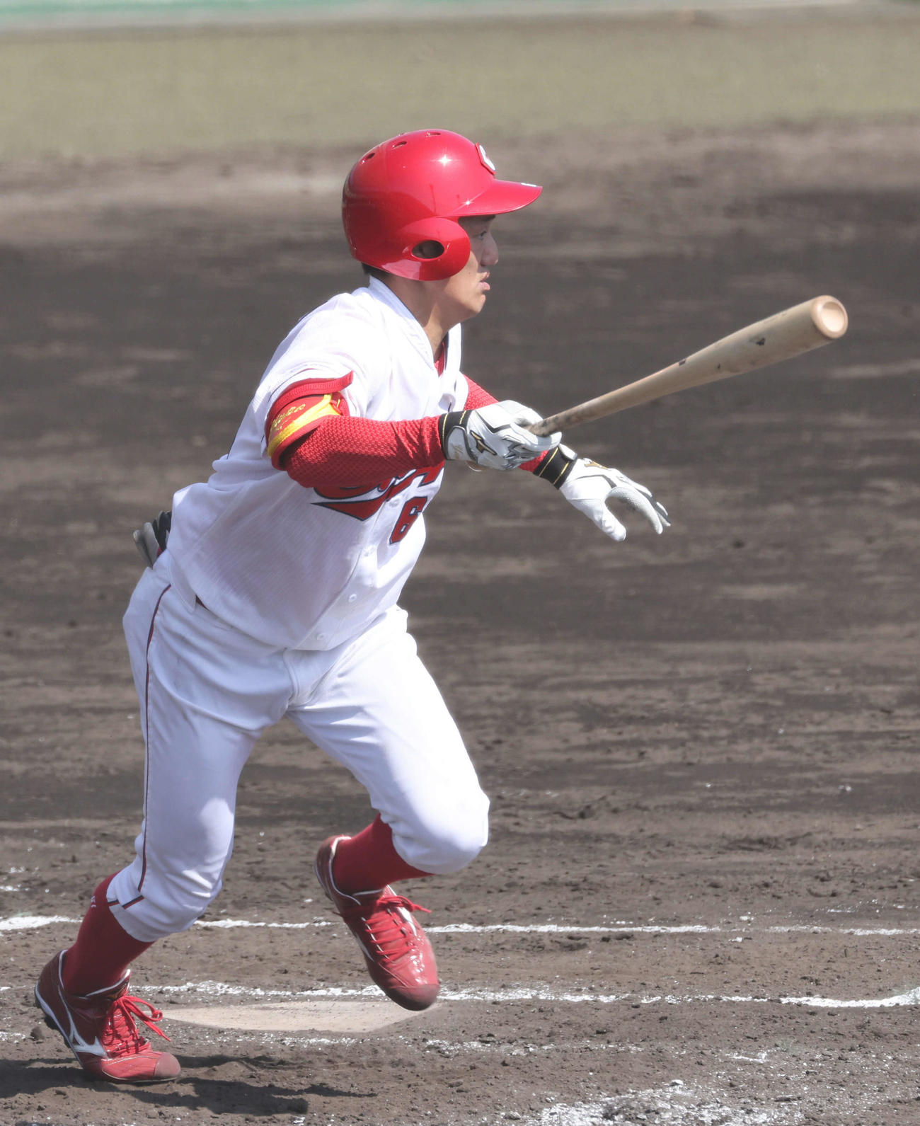 広島矢野雅哉（2021年2月16日撮影）