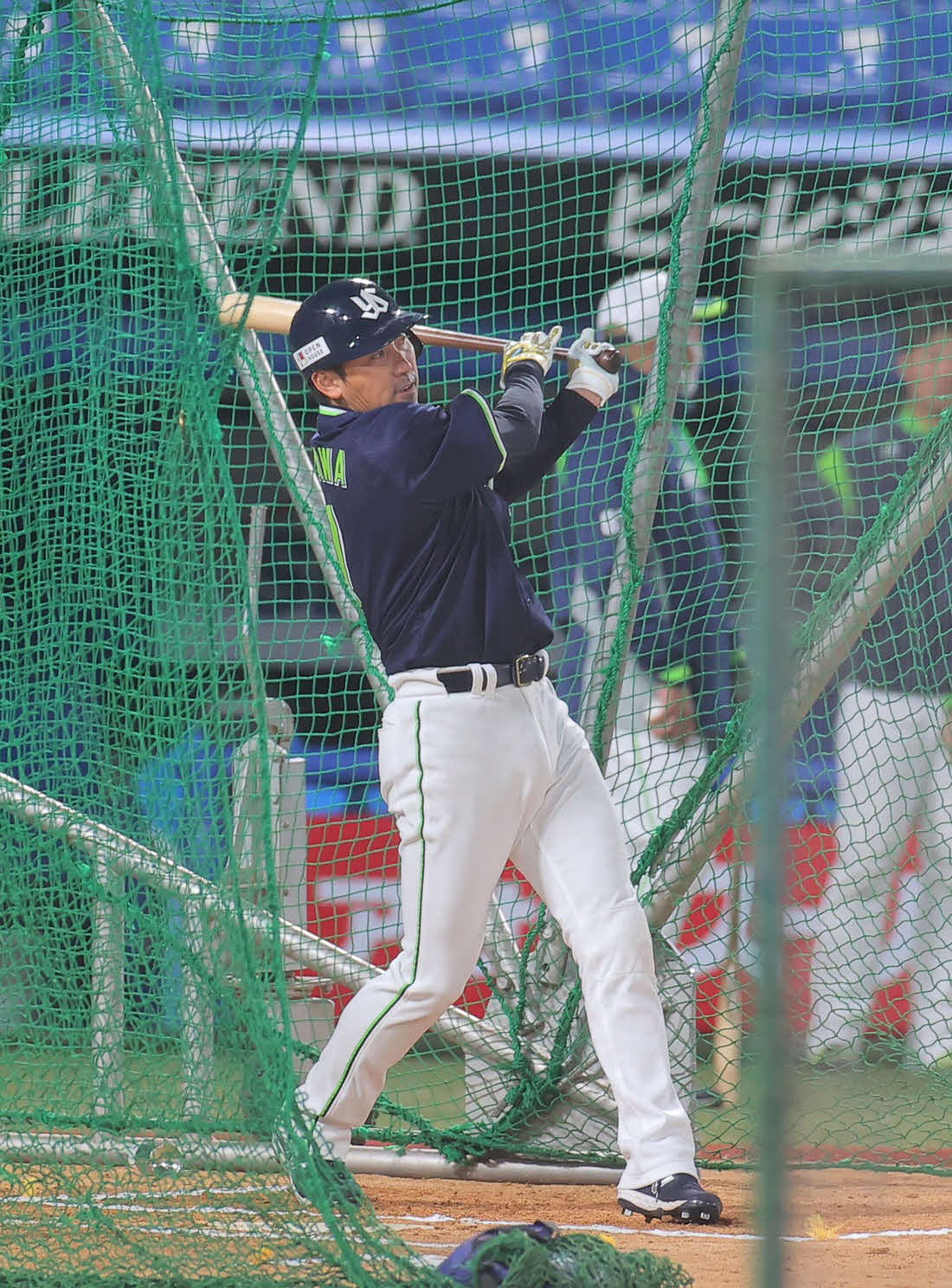ナイター練習で打撃練習を行うヤクルト内川（代表撮影）