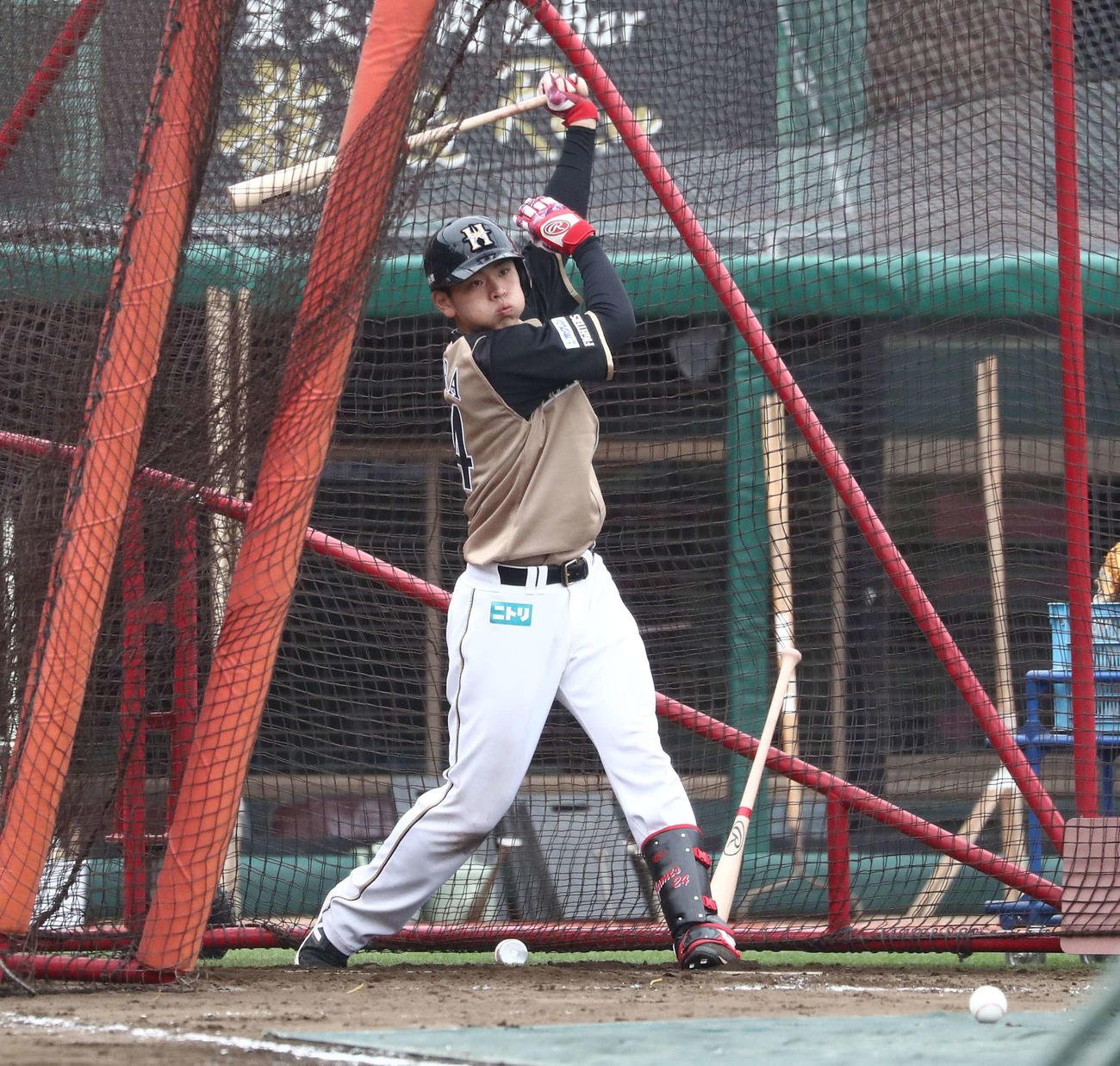 フリー打撃する日本ハム野村（撮影・黒川智章）