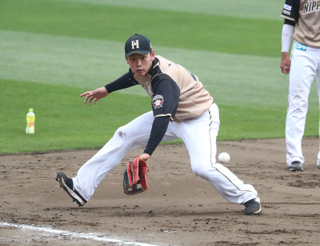 ノックを受ける日本ハム野村（撮影・黒川智章）