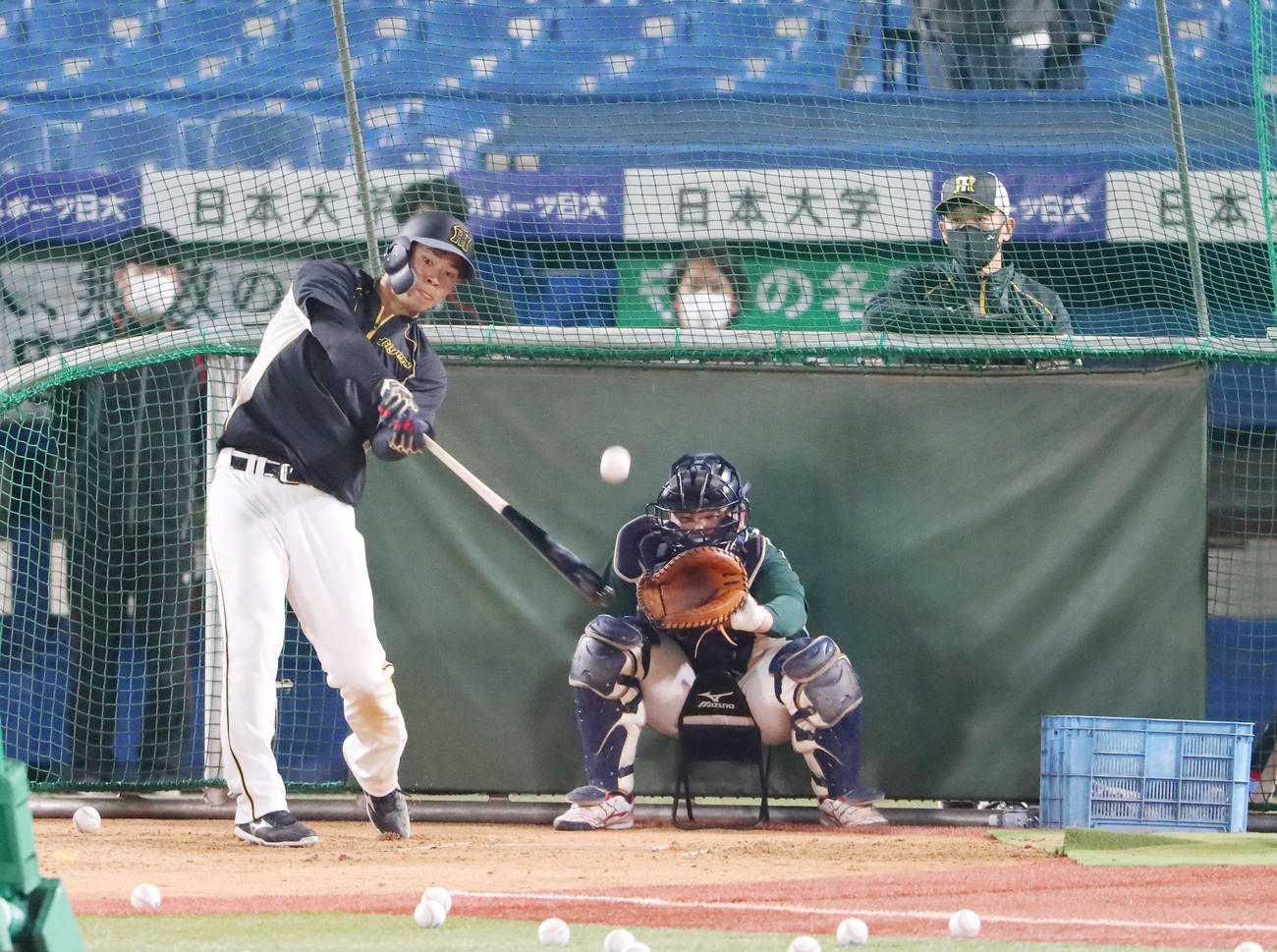 矢野監督（右）の前で打撃練習を行う佐藤輝（撮影・加藤哉）