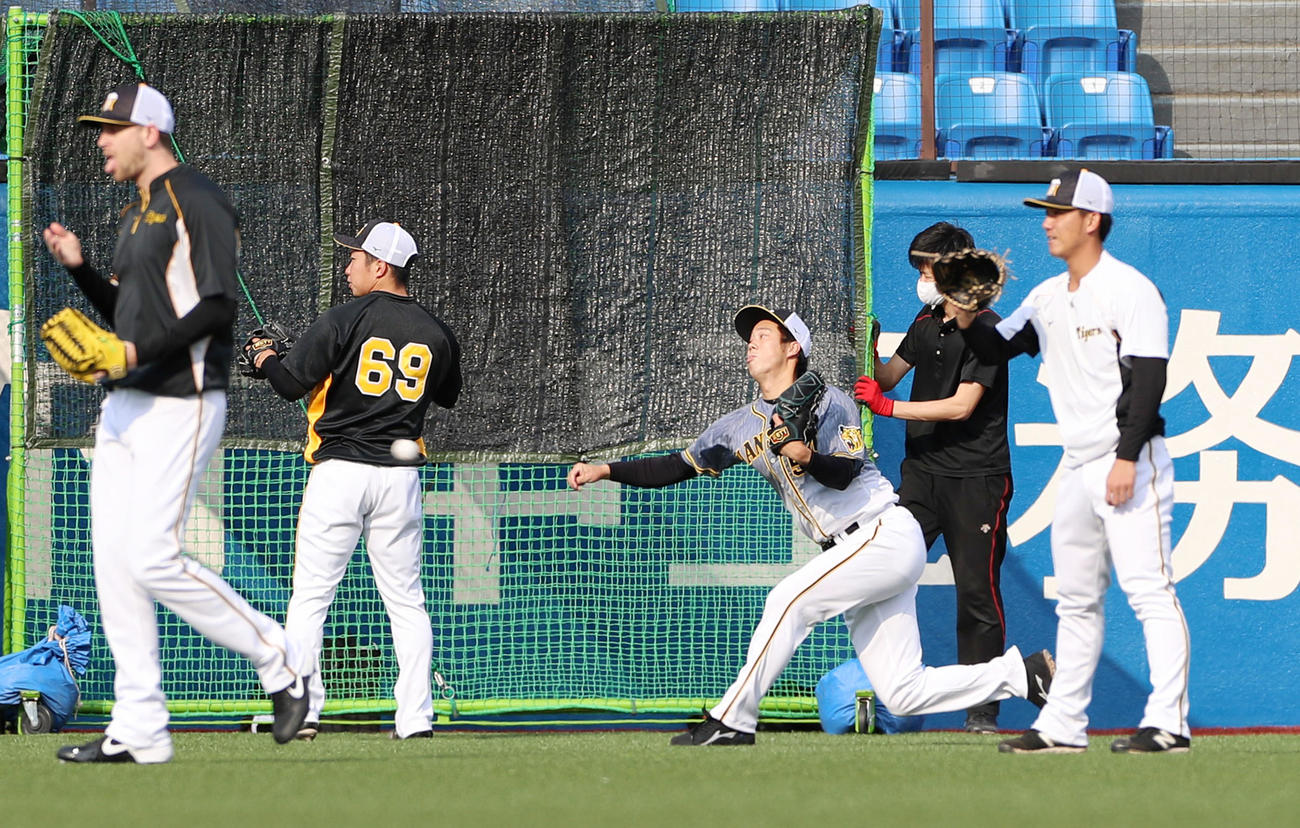 ヤクルト対阪神　キャッチボールする青柳。右は伊藤将、左は石井大（撮影・加藤哉）