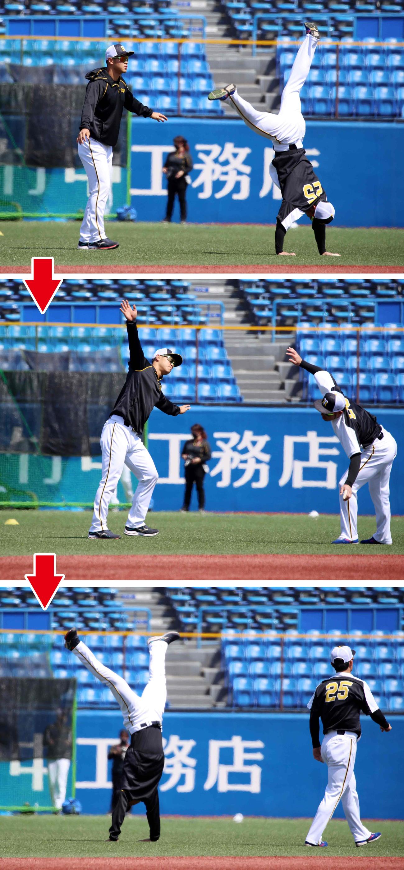 ヤクルト対阪神　江越（右）の側転を見て佐藤輝も挑戦！（撮影・加藤哉）