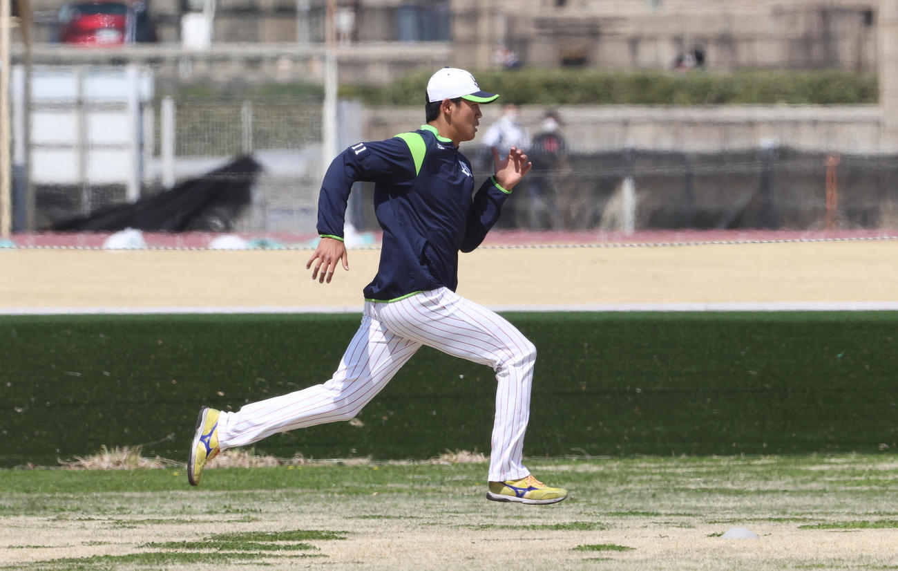 練習でダッシュを繰り返すヤクルト奥川（撮影・野上伸悟）