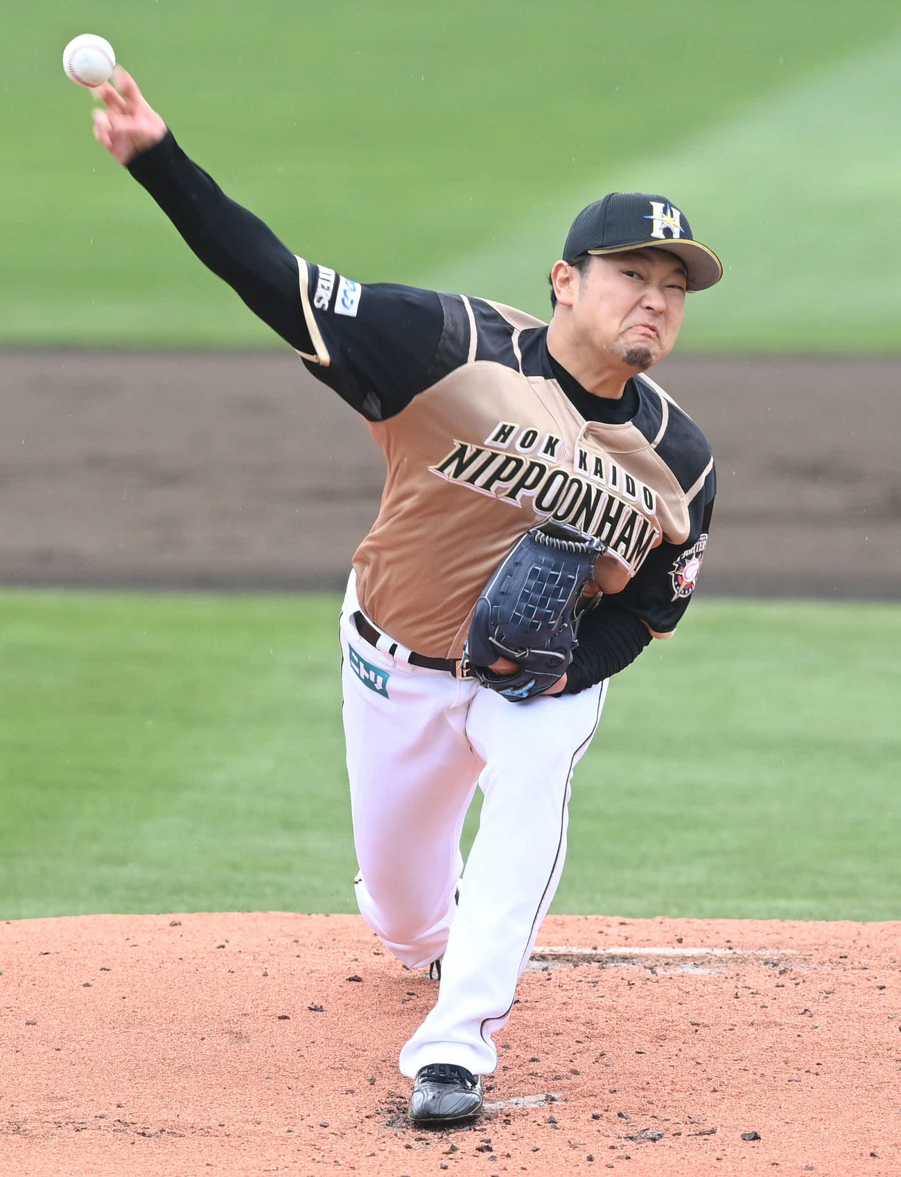 楽天対日本ハム　力投する日本ハム先発の池田（撮影・山崎安昭）