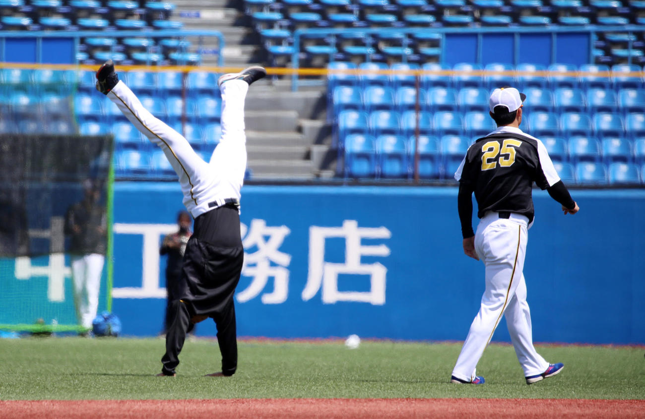 ヤクルト対阪神　江越（右）の側転を見た佐藤輝も挑戦！（撮影・加藤哉）