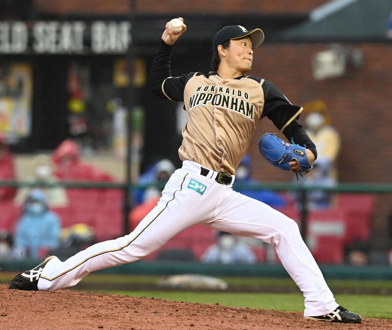 楽天対日本ハム　日本ハム3番手で登板する玉井（撮影・山崎安昭）