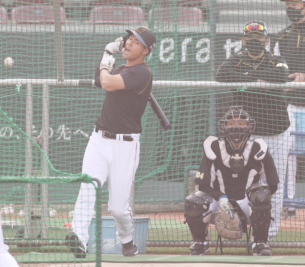 広島対阪神　フリー打撃を行う佐藤輝（撮影・清水貴仁）