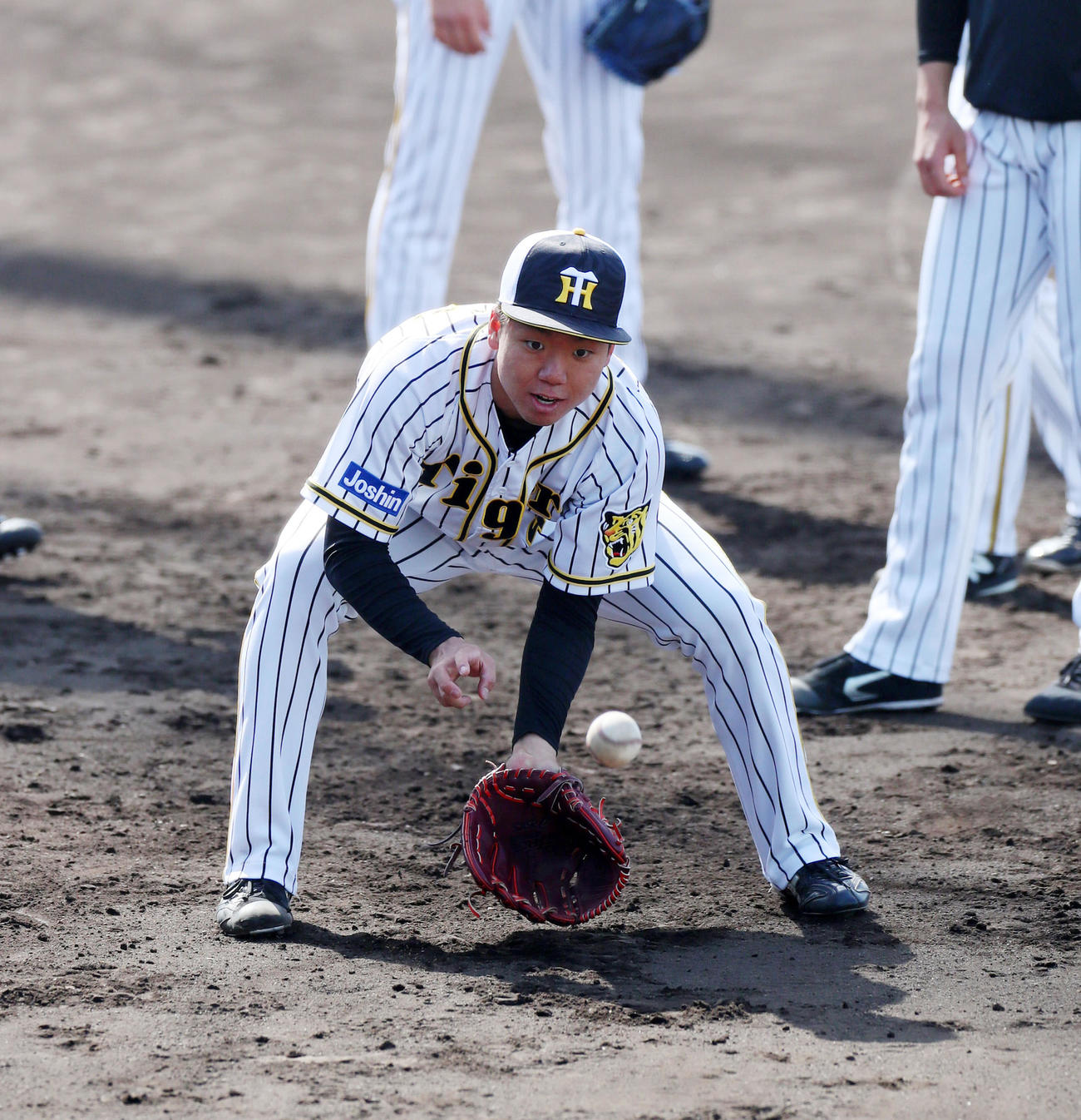 阪神対オリックス　三塁ベンチ前でゴロ捕球を行う村上（代表撮影）