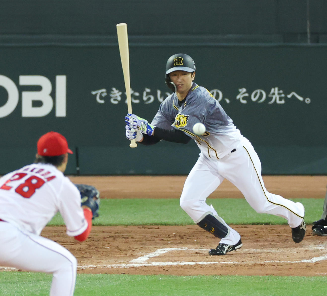 広島対阪神　3回表阪神2死、投ゴロに倒れる近本（撮影・清水貴仁）