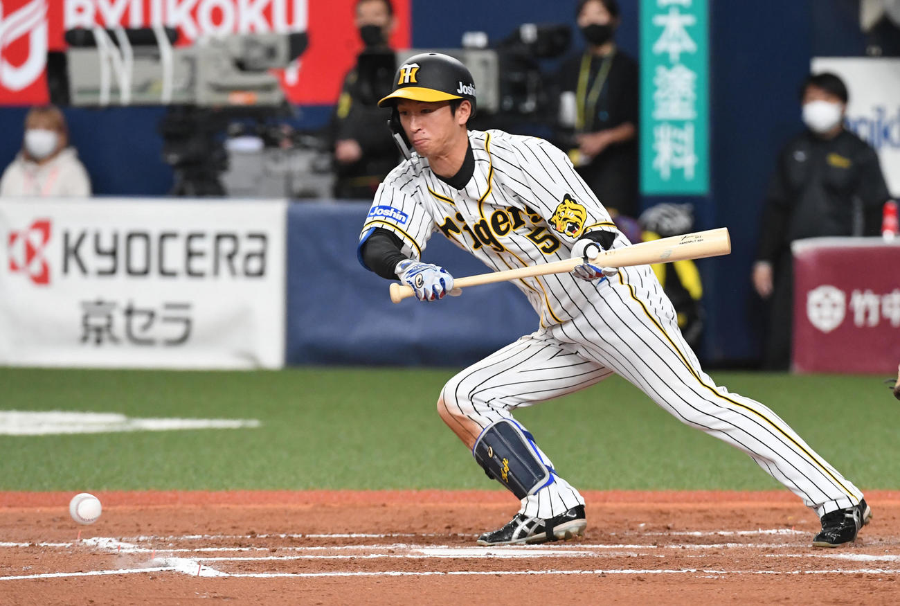 阪神対中日　7回裏阪神1死一塁、近本は三塁にセーフティバントを決める（撮影・前岡正明）