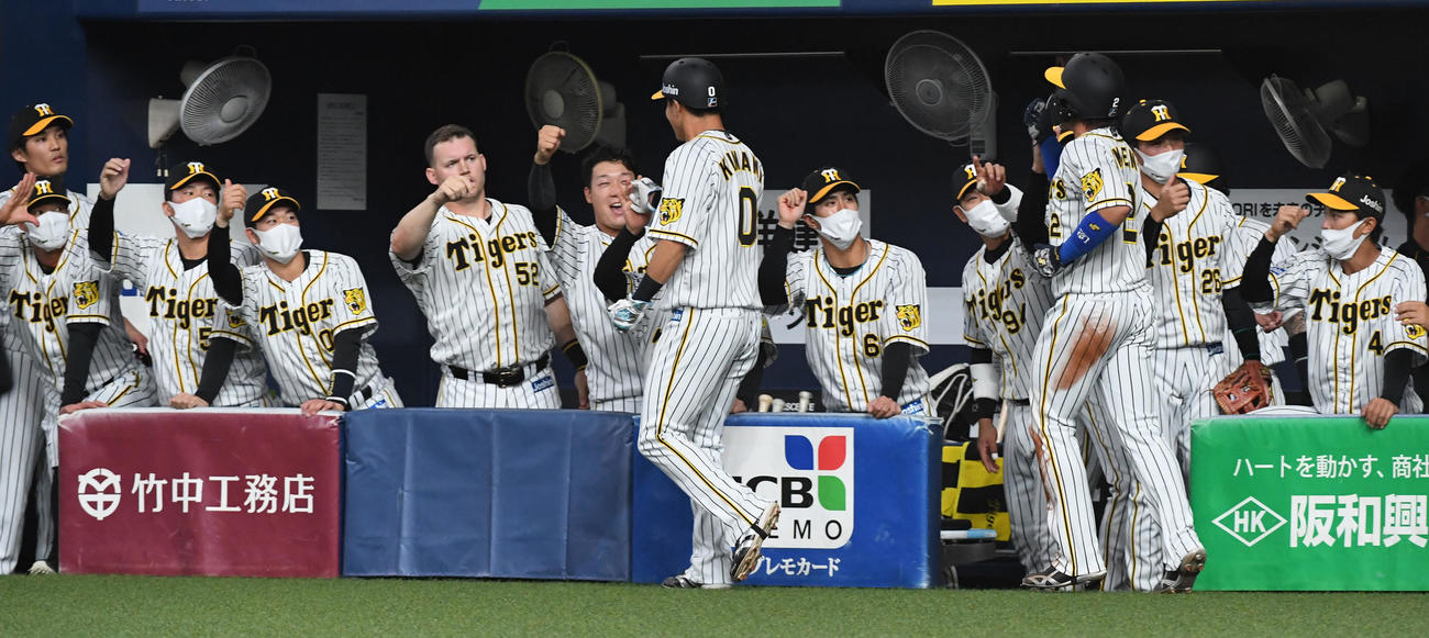 近本の中前2点適時打で生還した木浪（左）と梅野を迎える阪神ナイン（撮影・前岡正明）