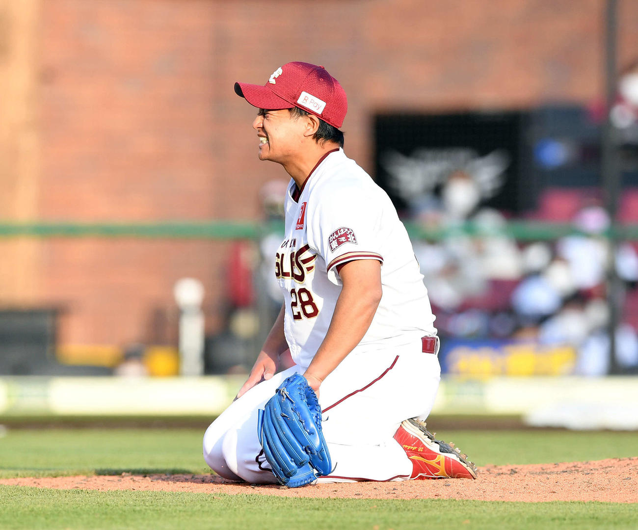 楽天対オリックス　8回表、オリックス吉田正の打球が当たり苦痛の表情を浮かべる酒居（撮影・滝沢徹郎）