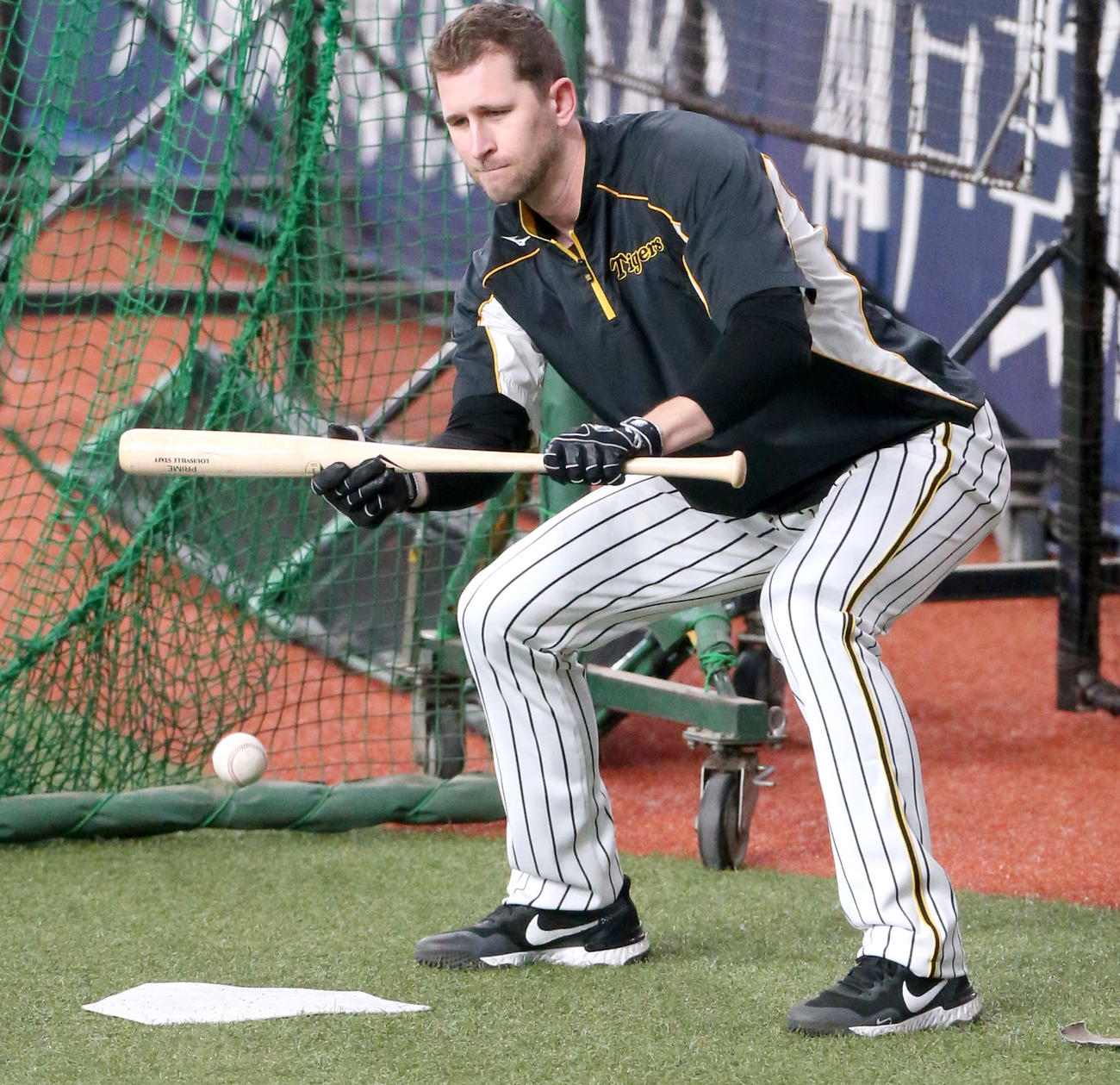 阪神対中日　試合前の練習で、バントするガンケル（撮影・上山淳一）