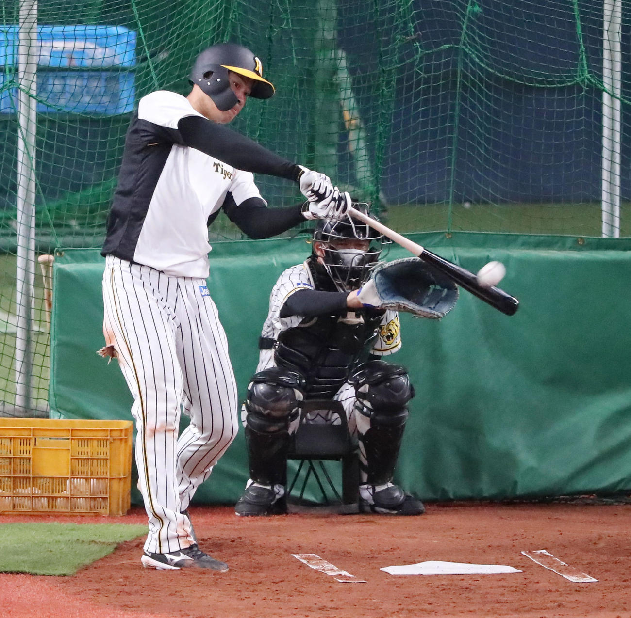 阪神対中日　打撃練習を行う佐藤輝（撮影・加藤哉）