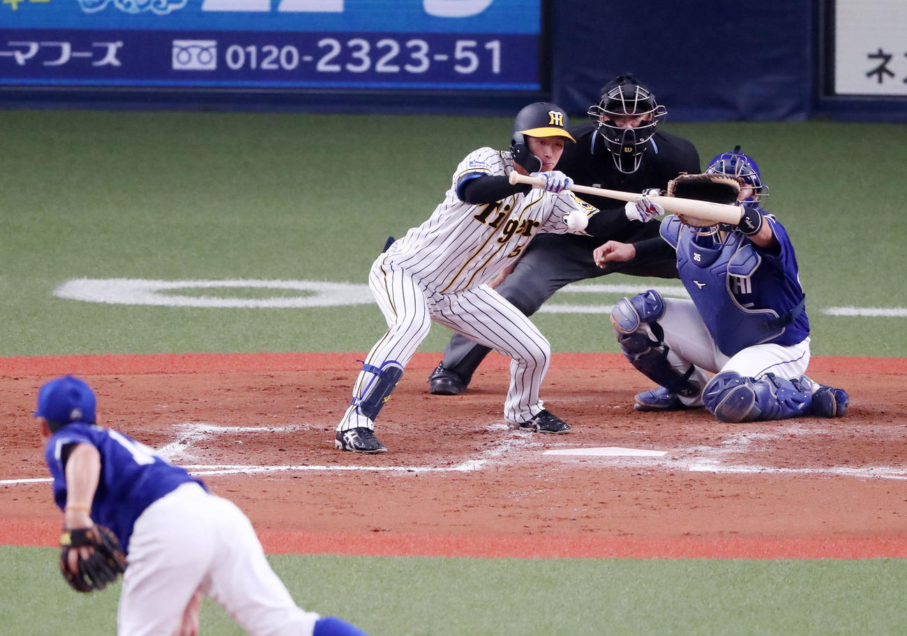 阪神対中日　7回裏阪神無死一塁、近本は一塁線にバントを決める（撮影・加藤哉）