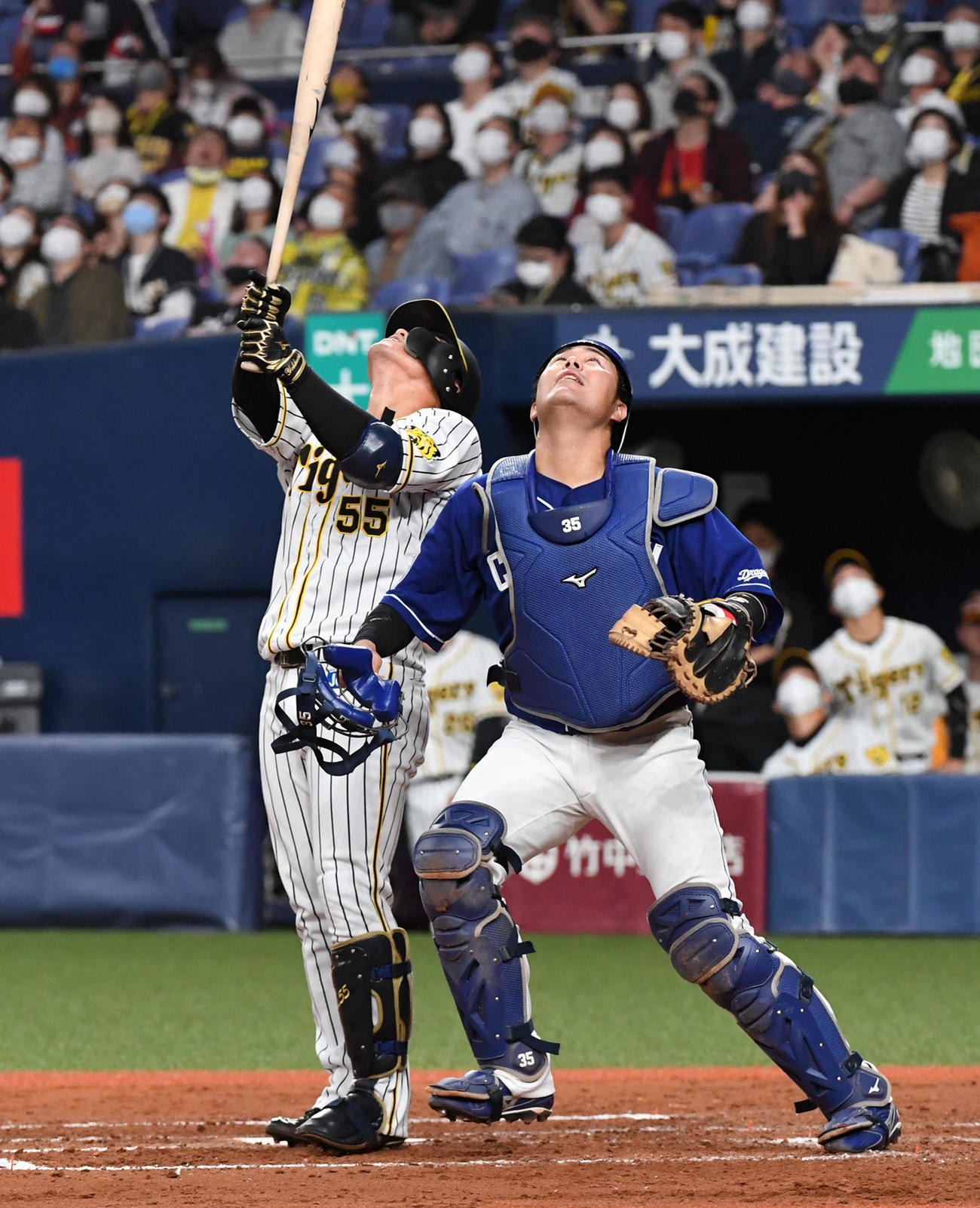 阪神対中日　4回裏阪神1死一塁、陽川尚将は天井に入り落ちてこず。捕手木下（撮影・前岡正明）