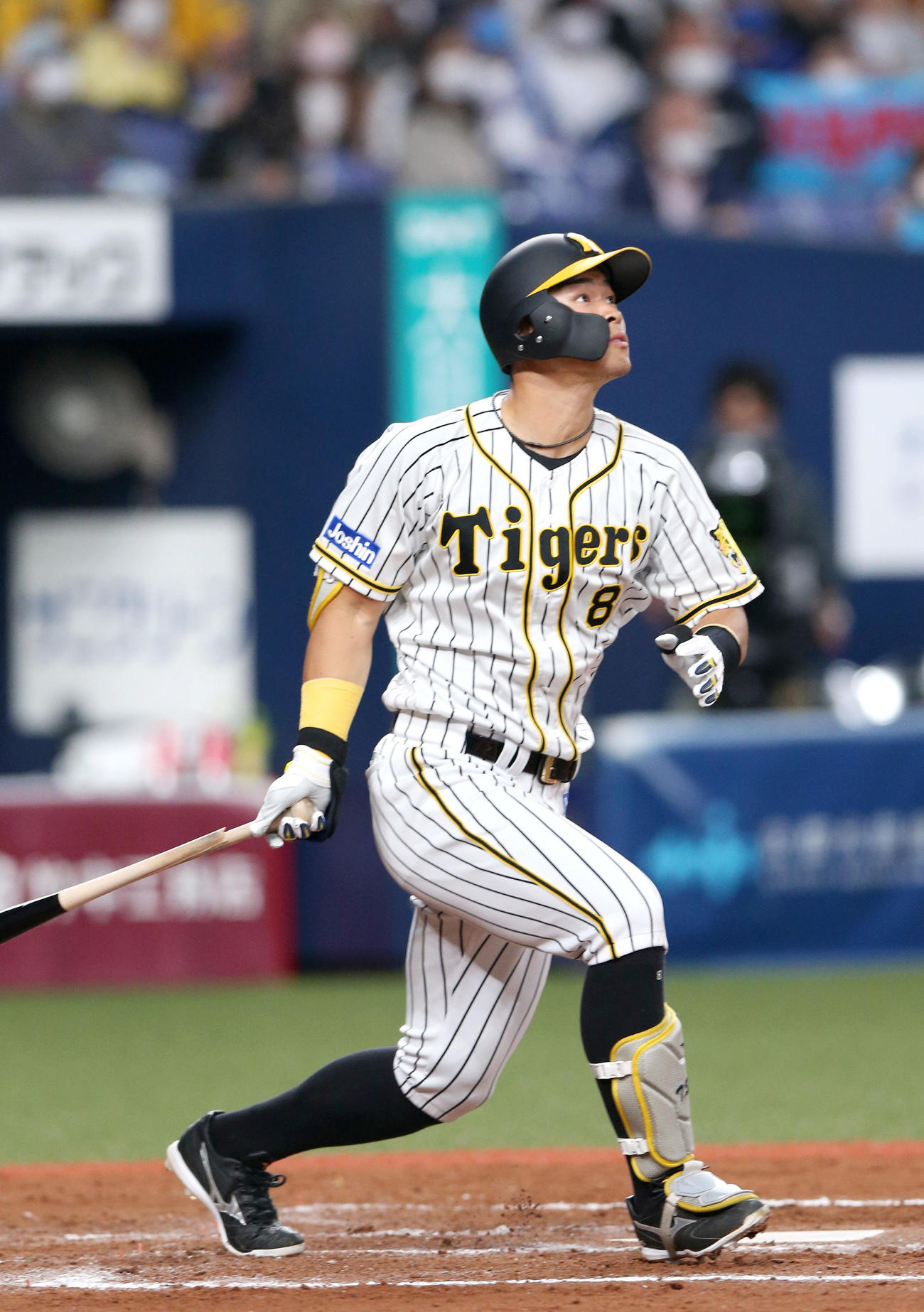 阪神対中日　6回裏阪神2死満塁、代打佐藤輝は右飛に倒れる（撮影・上山淳一）